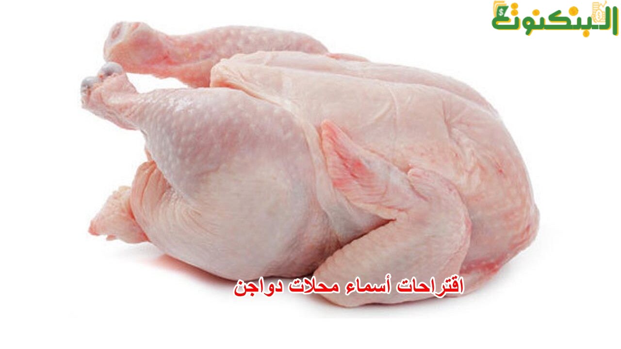 اقتراحات أسماء محلات دواجن