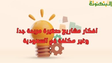 افكار مشاريع صغيرة مربحة جدا وغير مكلفة في السعودية