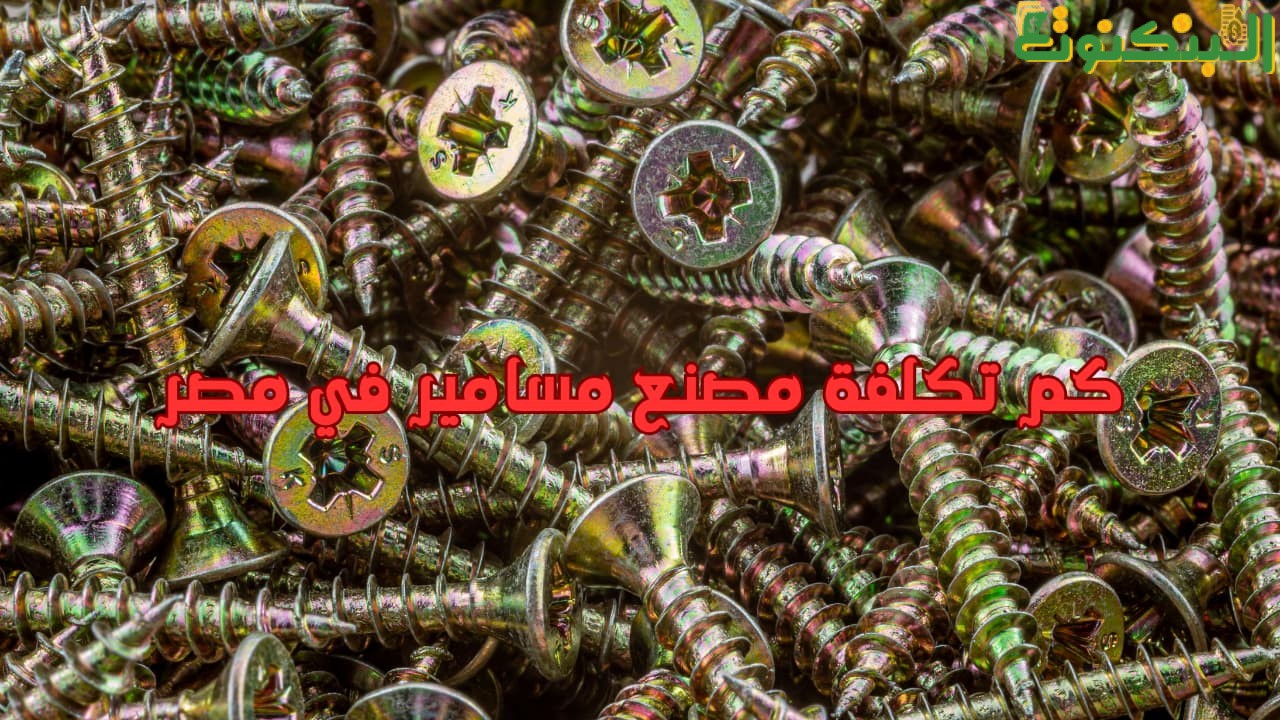 كم تكلفة مصنع مسامير في مصر