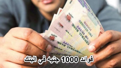 فوائد 1000 جنيه في البنك