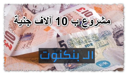 16 مشروع ب 10 آلاف جنية