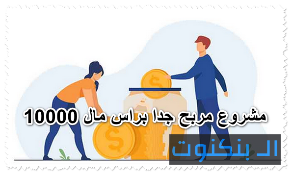 11 مشروع مربح جدا براس مال 10000