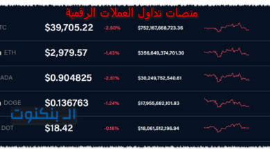 منصات تداول العملات الرقمية