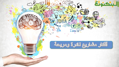 أفكار مشاريع نادرة ومربحة