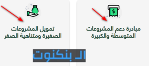 المشروعات الكبيرة والصغيرة والمتوسطة ومتناهية الصغر