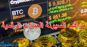 مراقب السيولة العملات الرقمية