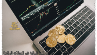 الرافعة المالية في العملات الرقمية