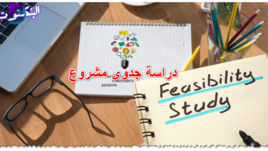 دراسة جدوى مشروع