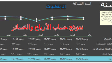 نموذج حساب الأرباح والخسائر