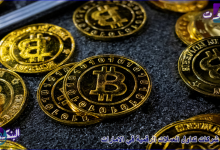 افضل شركات تداول العملات الرقمية في الامارات