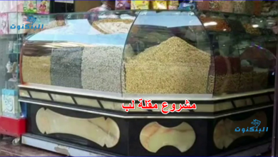 مشروع مقلة لب