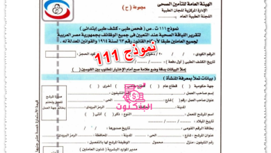 نموذج 111