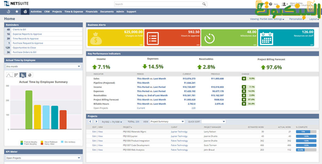 برنامج Oracle NetSuite