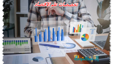 تخصصات علم الاقتصاد