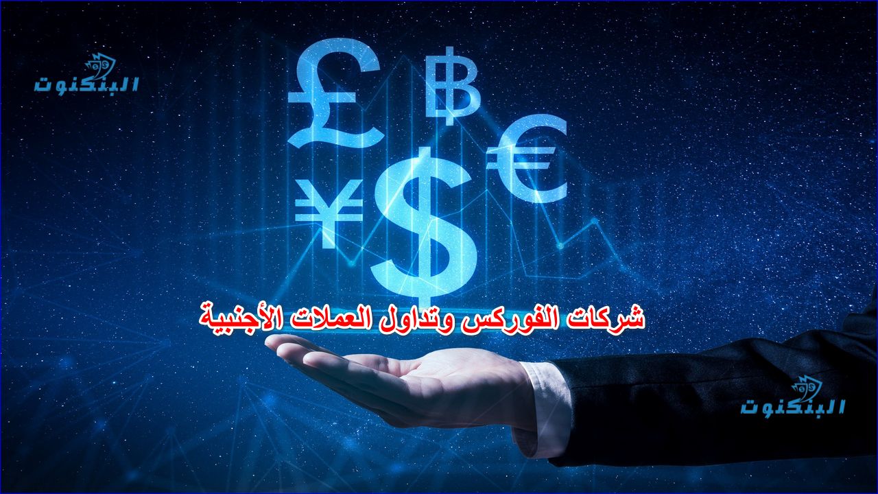 شركات الفوركس وتداول العملات الأجنبية