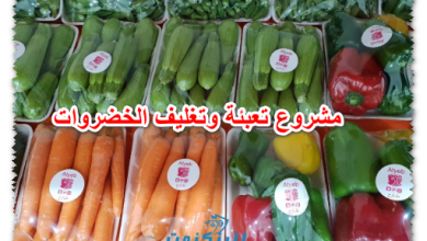 مشروع تعبئة وتغليف الخضروات