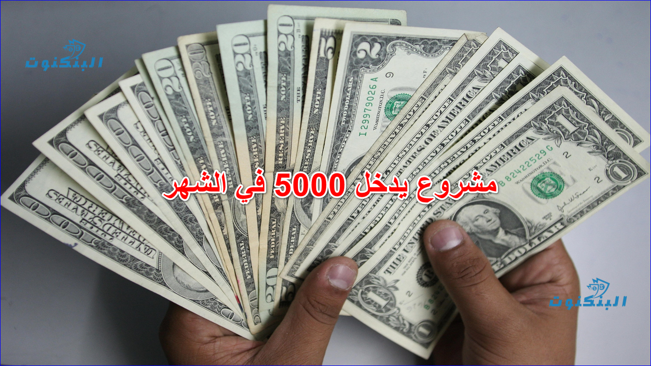 مشروع يدخل 5000 في الشهر