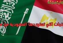 المنتجات التي تستوردها السعودية من مصر