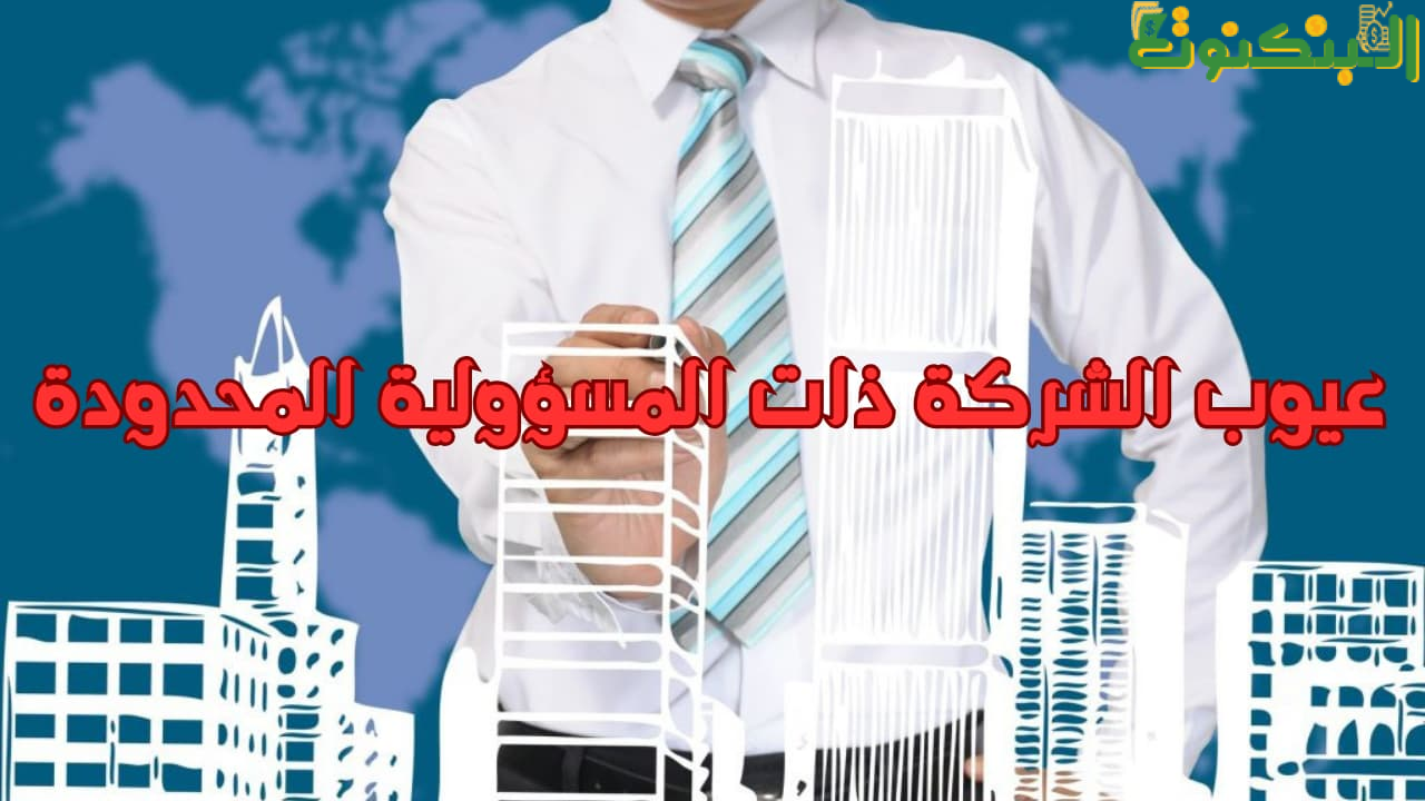 عيوب الشركة ذات المسؤولية المحدودة