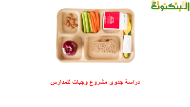 دراسة جدوى مشروع وجبات للمدارس