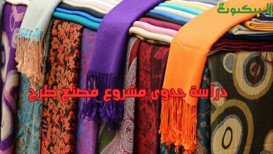 دراسة جدوى مشروع مصنع طرح