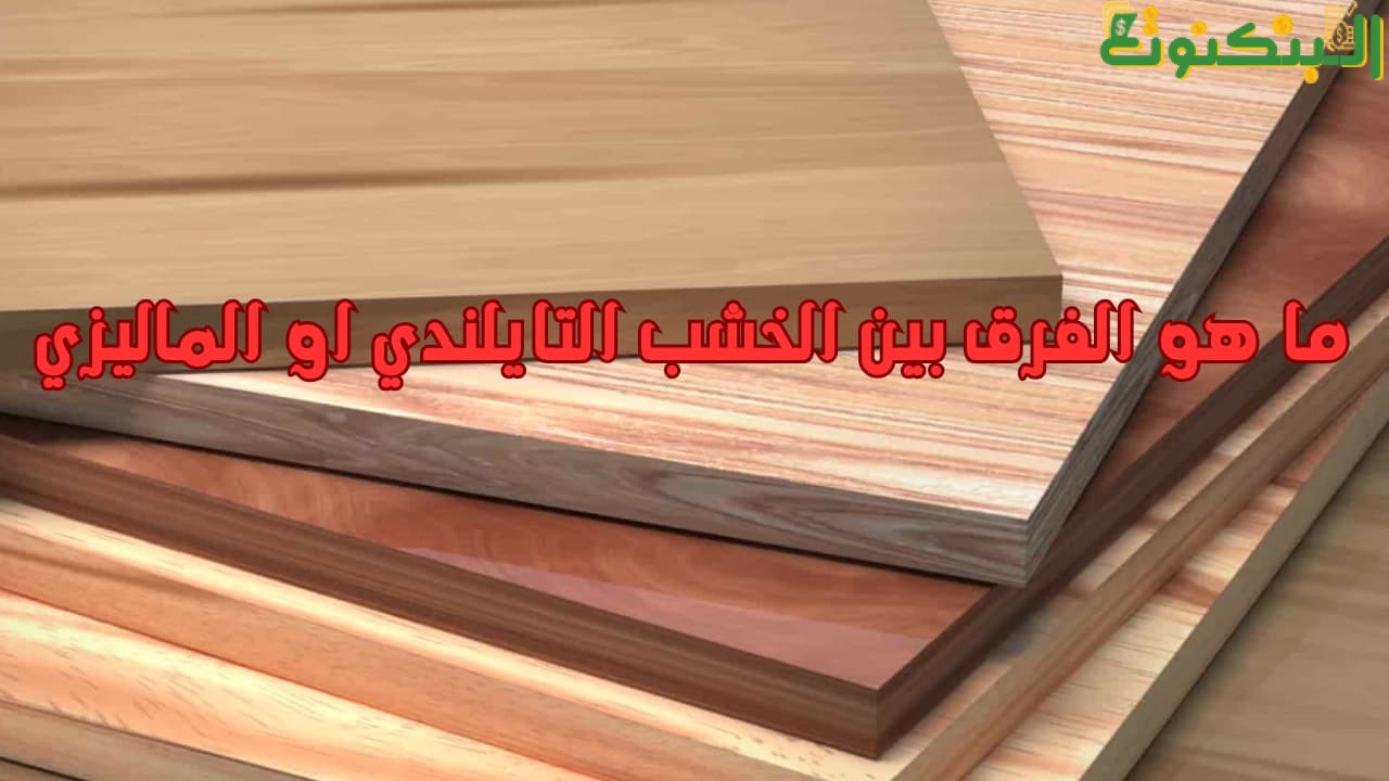 ما هو الفرق بين الخشب التايلندي او الماليزي