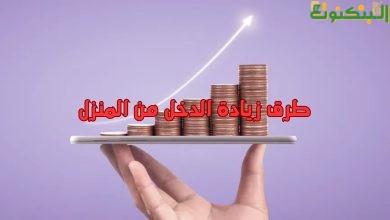 طرق زيادة الدخل من المنزل