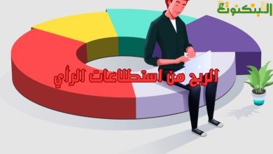الربح من استطلاعات الرأي