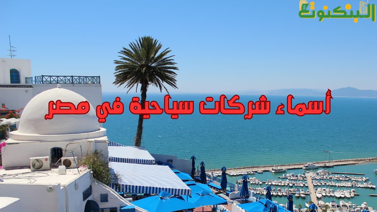 أسماء شركات سياحية في مصر
