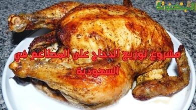 مشروع توزيع الدجاج على المطاعم في السعودية