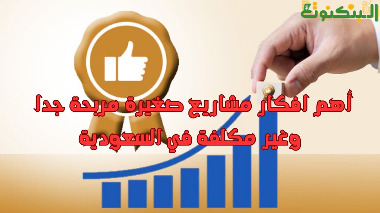 أهم افكار مشاريع صغيرة مربحة جدا وغير مكلفة في السعودية