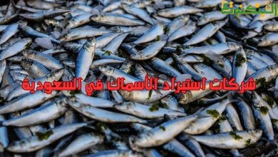 شركات استيراد الأسماك في السعودية