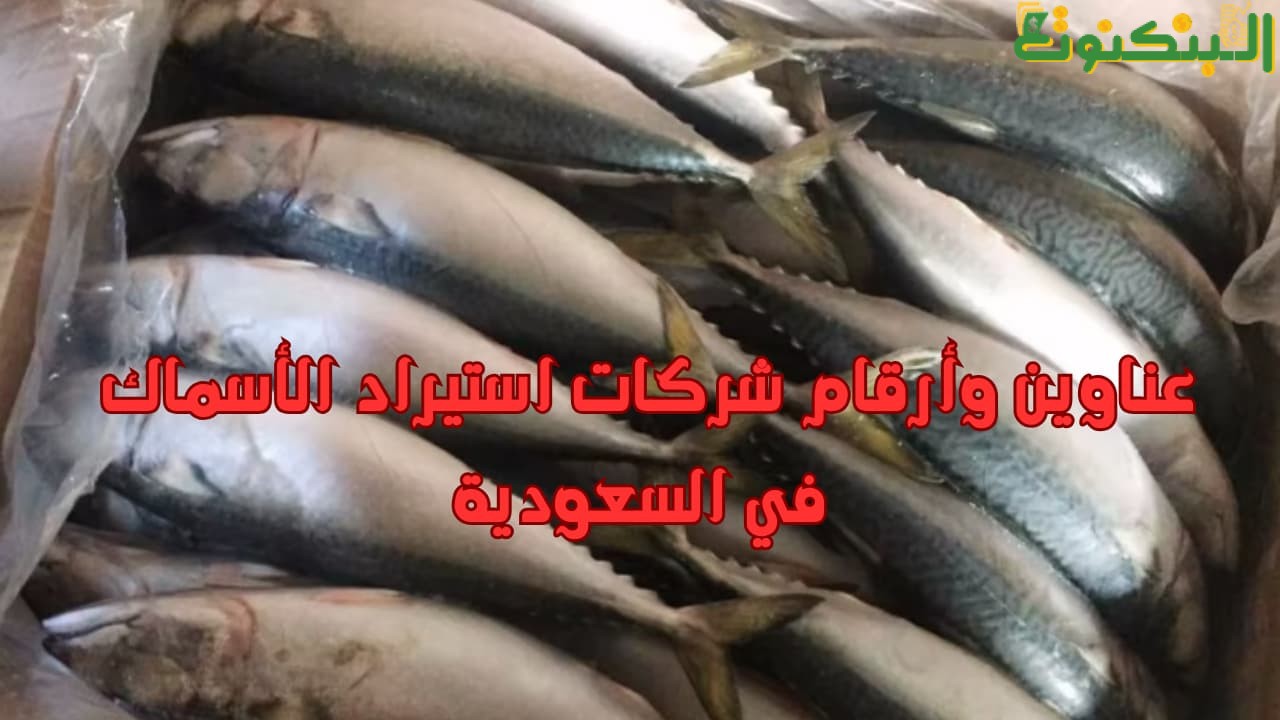 عناوين وأرقام شركات استيراد الأسماك في السعودية