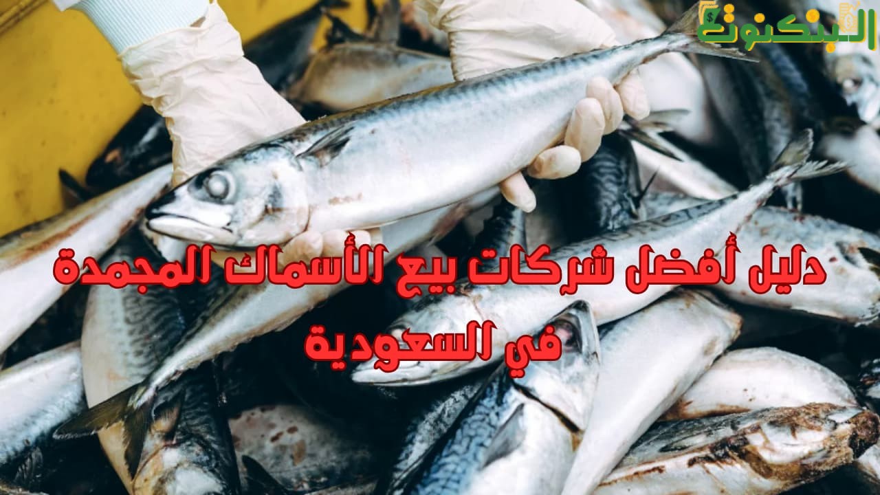 دليل أفضل شركات بيع الأسماك المجمدة في السعودية